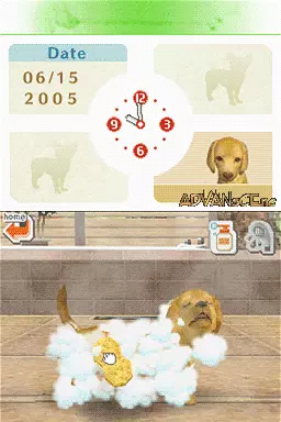 Image n° 3 - screenshots : Nintendogs - Dachshund & Friends